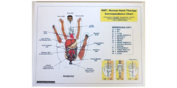 Therapy Charts