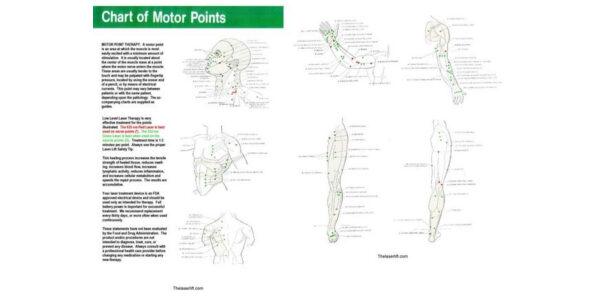 Trigger Point Therapy Chart